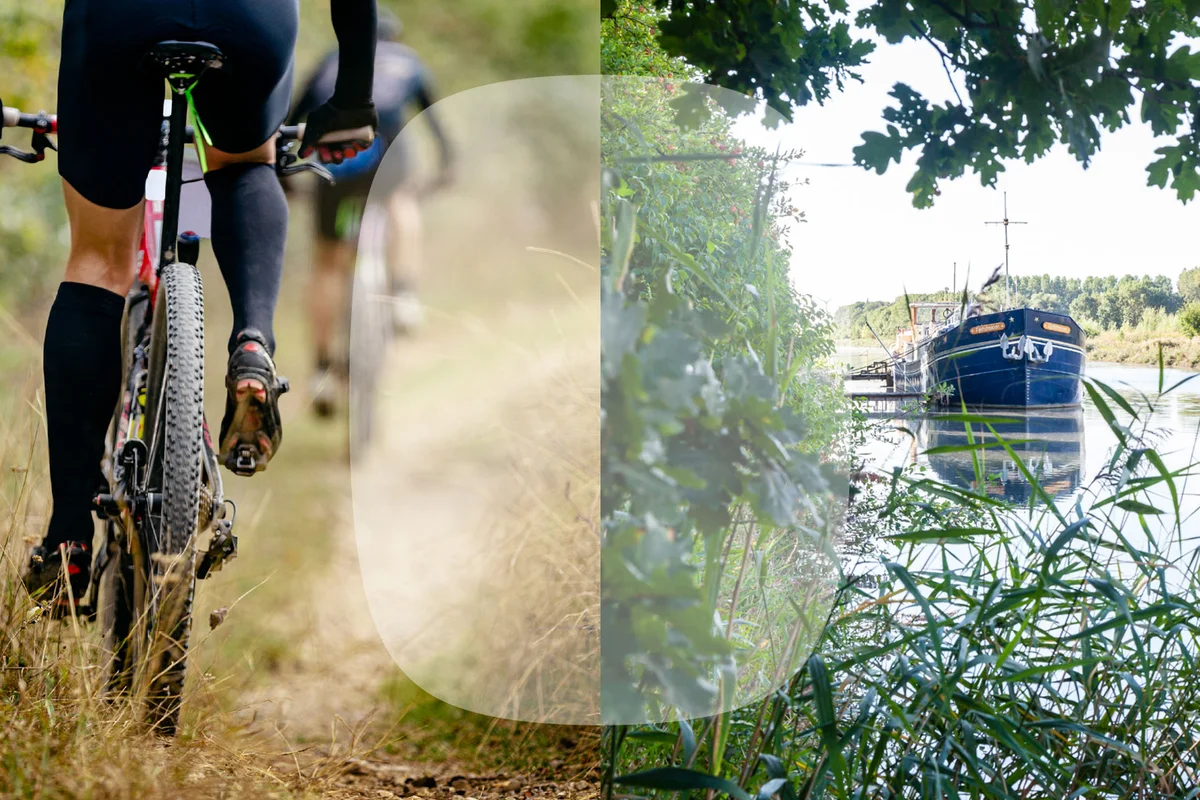 Project Ambiance Image