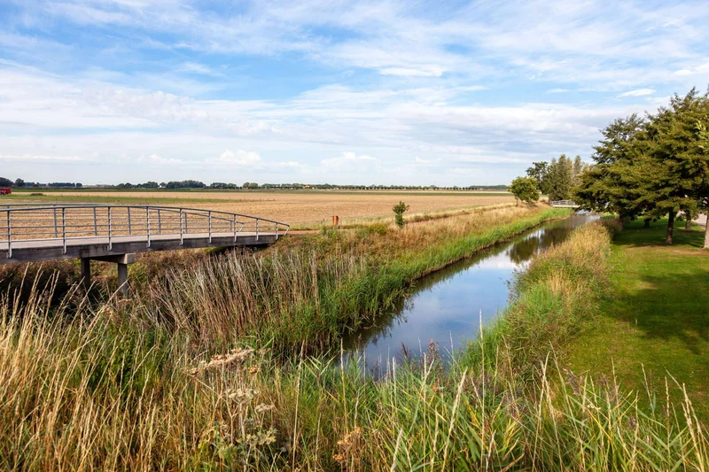 Update Oevers Roode Vaart januari 2026